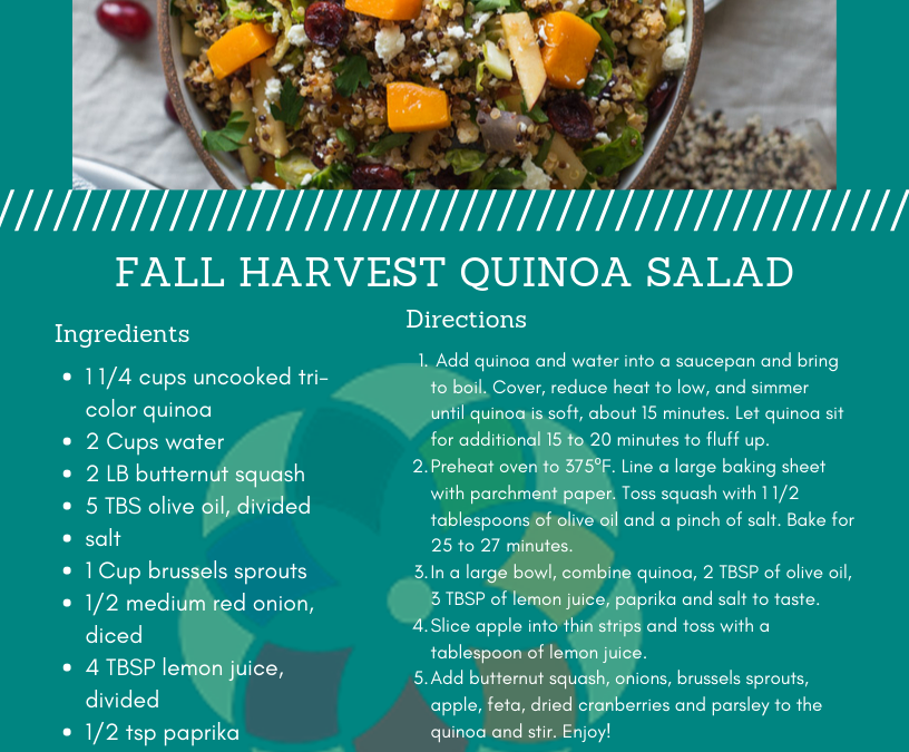 Fall Harvest Quinoa Salad